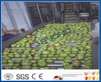 Vegetable / Fruit Processing Equipment With Automated Sorting System CE / ISO9001