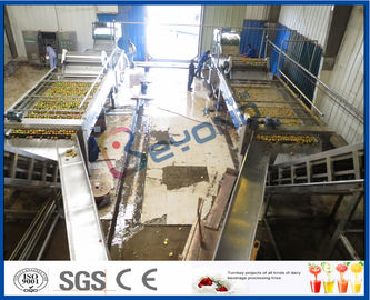 10TPH Fruit Juice Extraction Machine