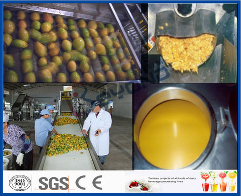 Xử lý Xử lý Mango Xưởng Chế biến Xoài Line Với Máy Trộn vô trùng