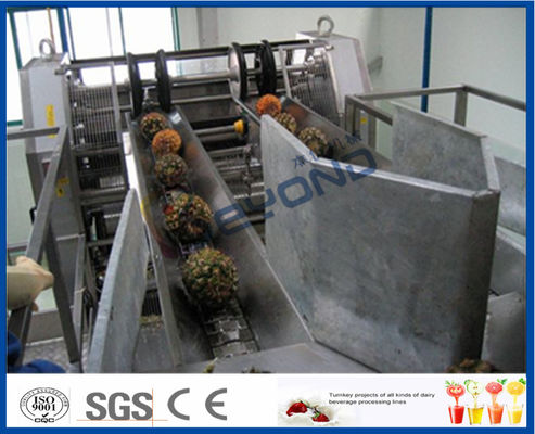 Dây chuyền xử lý dứa an toàn tự động hoàn toàn cho máy chế biến trái cây