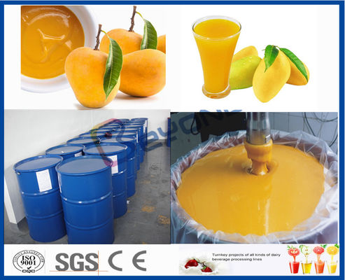 Máy chế biến trái cây Máy chế biến Xoài cho Nhà máy chế biến Nước ép