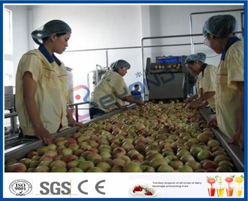 Đào / Trái cây mơ / Mai sản xuất dòng sản phẩm trái cây Máy chế biến trái cây