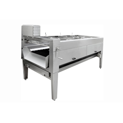 Máy rửa trái cây bằng thép không gỉ làm sạch gừng / nghệ tươi tự động