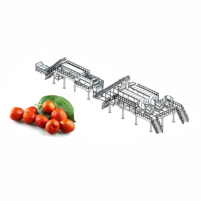 Dây chuyền sản xuất nước ép lựu công nghiệp 2 - Thiết bị làm nước ép lựu 50T/H