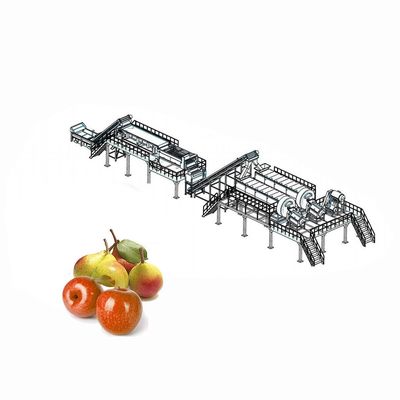 Nâng thiết bị chế biến trái cây phân loại táo để phân loại