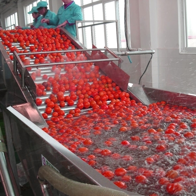 Automatic Industrial Bubble Washing Machine For Vegetable Fruit 220V