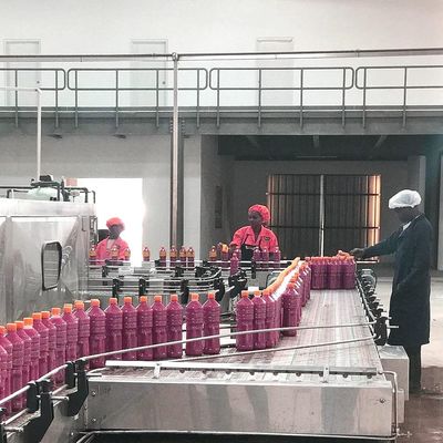 Dây chuyền chế biến cà chua tự động SUS304 để làm cà chua dán
